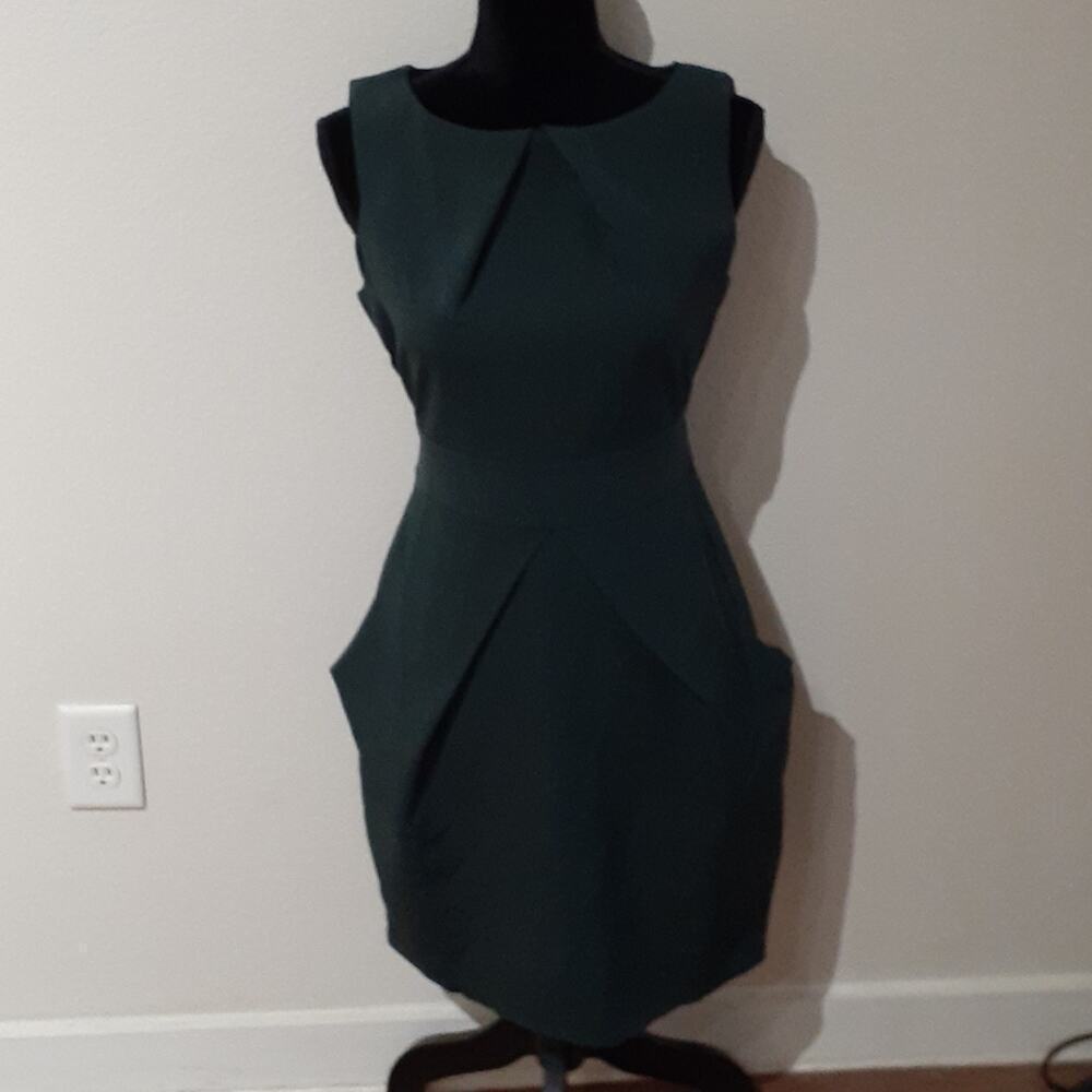 NWT APRICOT slim forest green sz 12 dress